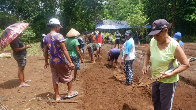 Kelompok Argoforestry