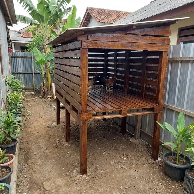 Kandang Ayam Panggung Tahan Banjir untuk Halaman Sempit