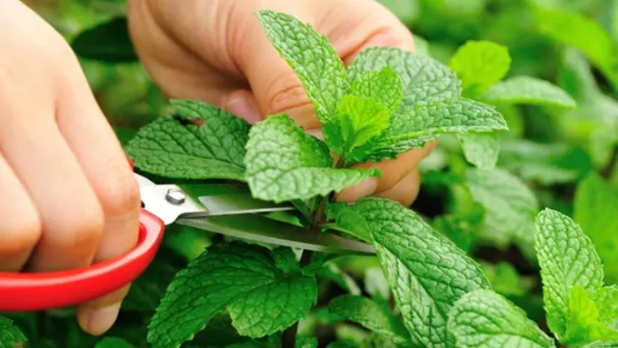 Copyright by Thinkstock.com