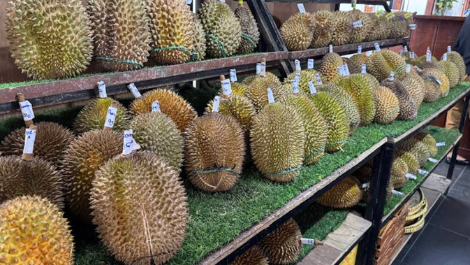 10 Spot Durian Terbaik di Jakarta yang Bikin Kalap