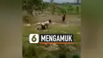 thumbnail pria mengamuk bacok polisi tni