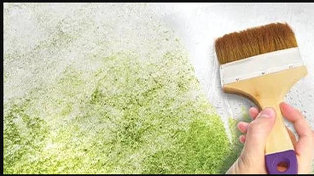 PT Avia Avian (sumber: avianbrands.com)