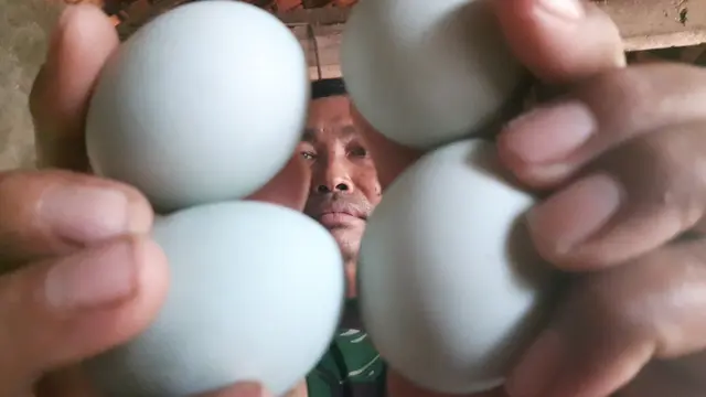 Telur-Telur Asin Penopang Dapur Rumah Prajurit TNI dari Brebes