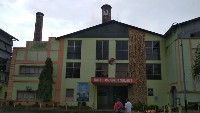Nasib Pabrik Gula Cirebon Gulung Tikar Hingga Jadi Industri Peternakan Ayam