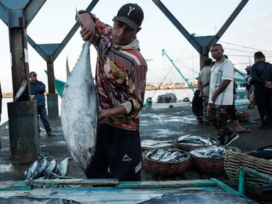 Seorang pria memuat ikan ke atas kapal motor di Pelabuhan Perikanan Samudera Lampulo, Banda Aceh, pada 27 Desember 2024. (Yasuyoshi CHIBA/AFP)