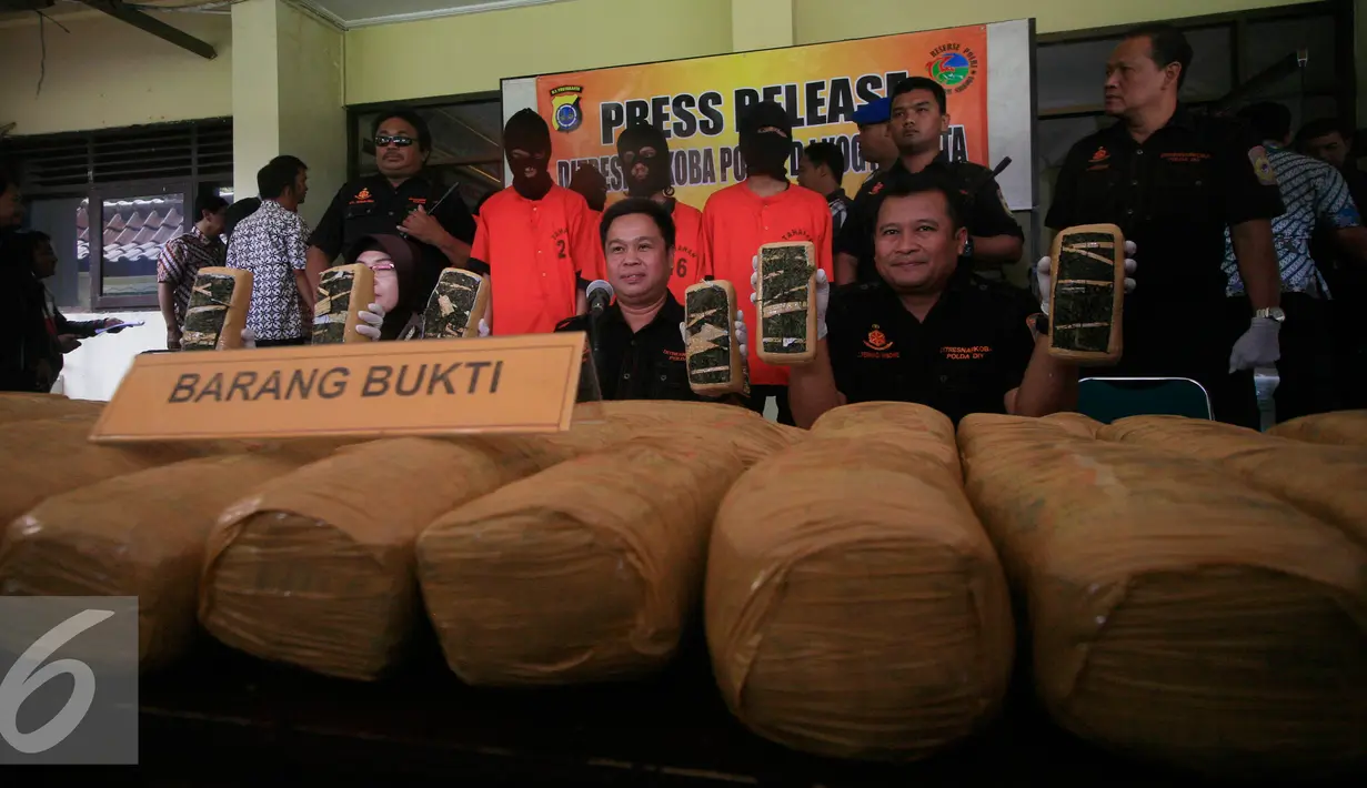 Petugas menunjukan ganja kering pada gelar barang bukti narkotika di Polda DIY, Yogyakarta, Jumat (12/2/2016). Puluhan paket ganja kering yang siap di edarkan berhasil di sita pada gelar perkara tersebut. (Liputan6.com/Boy Harjanto)