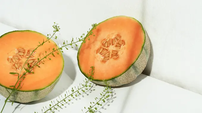 buah melon