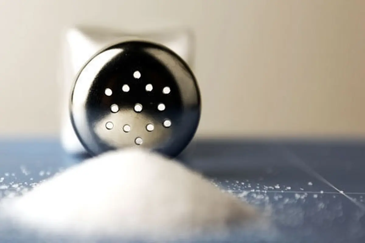 Foto: Copyright Shutterstock.com