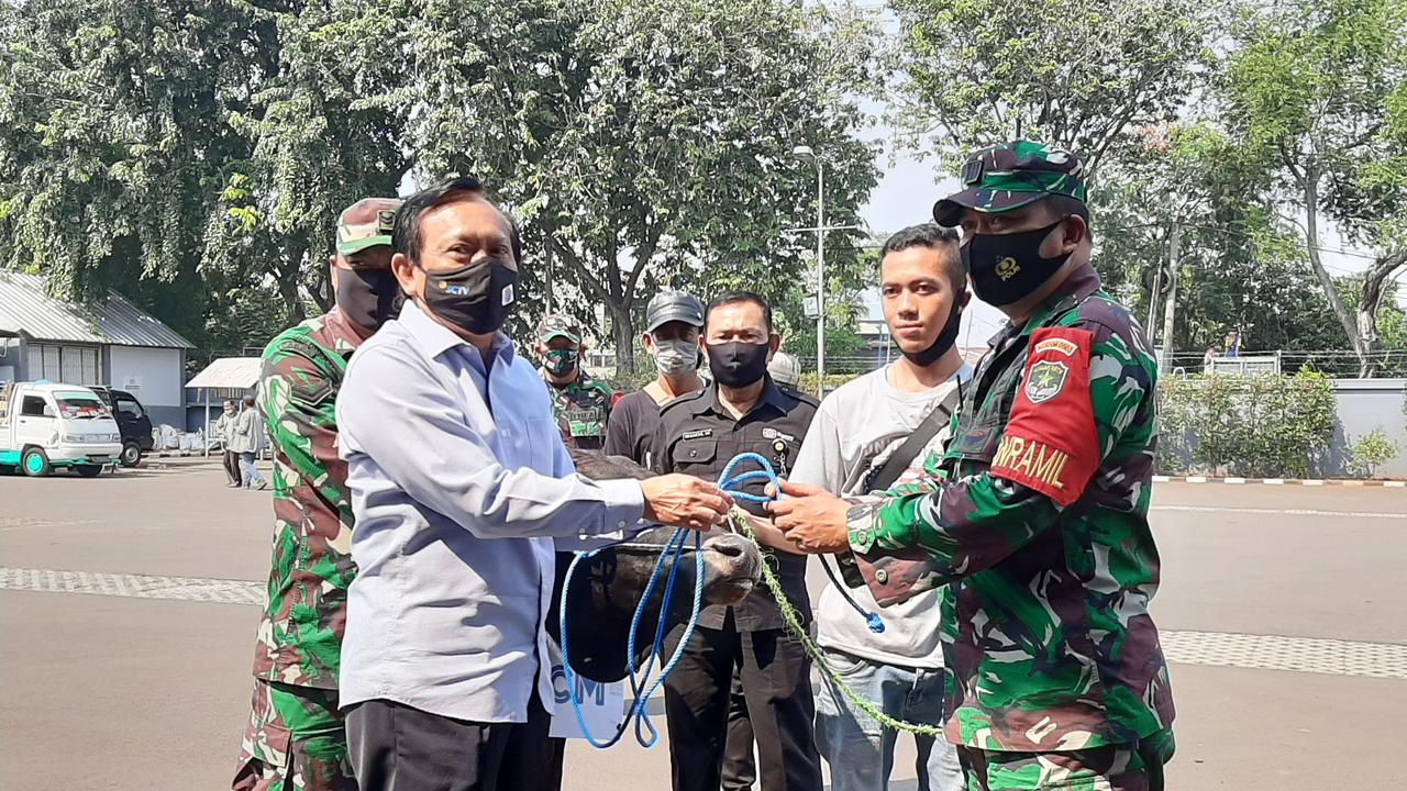 Direktur SCM Imam Sudjarwo menyerahkan seekor sapi ke Danramil 05/Kebon Jeruk Kapten Cpl R Edy Moerdoko