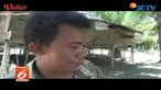 Seorang bocah lumpuh di Mamuju Utara, Sulawesi Barat, harus hidup mandiri di tengah kemiskinan.