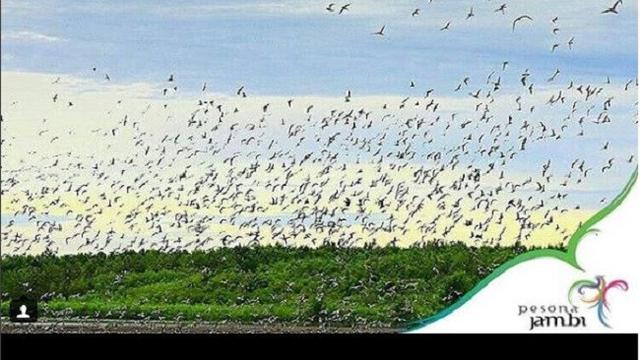 Bertandang Ke Pantai Cemara Jambi Lokasi Mandi Safar Tahun