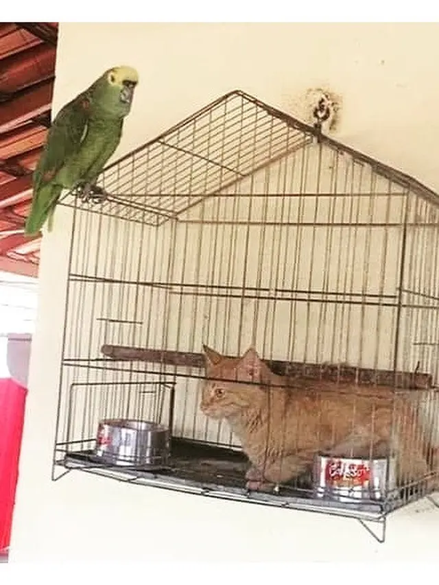 Gambar Nyeleneh Ini Bikin Orang Berfikir Dua Kali, Kocak Abis