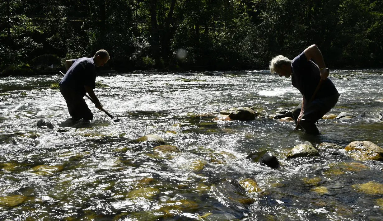 Penambang emas amatir David Bruno (kiri) dan Jean Fournier mendulang emas di Sungai Salat, Mercenac, Prancis, 24 Agustus 2020. Pendulangan emas sangat diatur di Departemen Ariege Prancis dan dicadangkan untuk penambang emas amatir. (GEORGES GOBET/AFP)