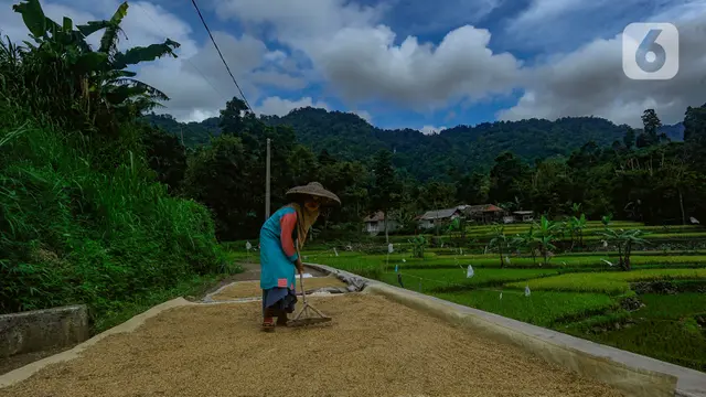 harga beras di tingkat penggilingan