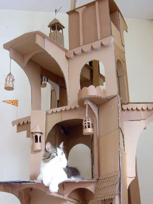 miniatur rumah kucing