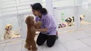 Petugas bermain dengan anjing yang dititipkan di tempat penitipan hewan di Jakarta, Rabu (21/6). Jasa penitipan hewan tersebut dikenakan tarif Rp150ribu - Rp275ribu perhari. (Liputan6.com/Immanuel Antonius)