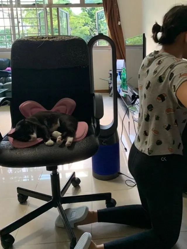 Tidak Sopan, 6 Potret Ini Tunjukkan Hewan Peliharaan Juga Perlu Dididik