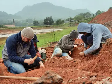 Foto selebaran tak bertanggal yang dirilis oleh Universitas Federal Santa Maria (UFSM) pada 18 Juli 2024, menunjukkan para ahli paleontologi sedang bekerja di lokasi penggalian fosil dinosaurus ditemukan di Sao Joao do Polesine, Rio Grande do Sul, Brasil. (Handout / Federal University of Santa Maria / AFP)