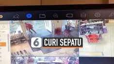 PENCURI APES