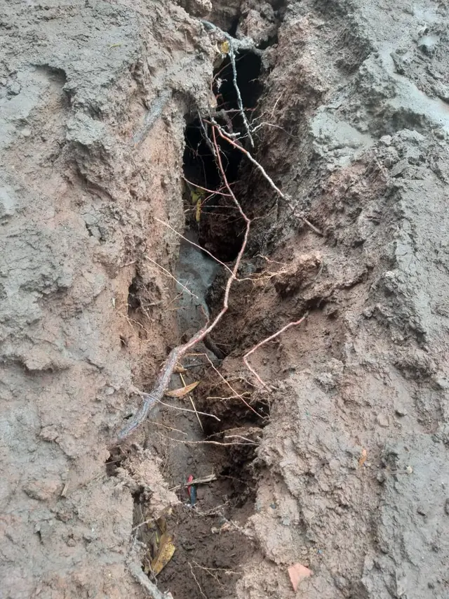 Geger Fenomena Tanah Terbelah Terjadi di Depok. (Liputan6.com/Ady Anugrahadi)