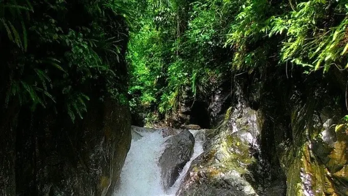 Bogor