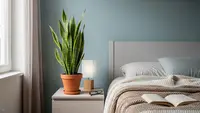 Jangan Taruh Tanaman di Kamar, Ini Kata Ahli Feng Shui dan Alasannya