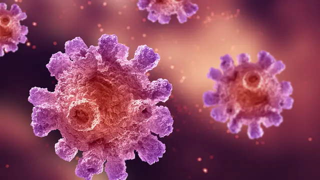 Virus