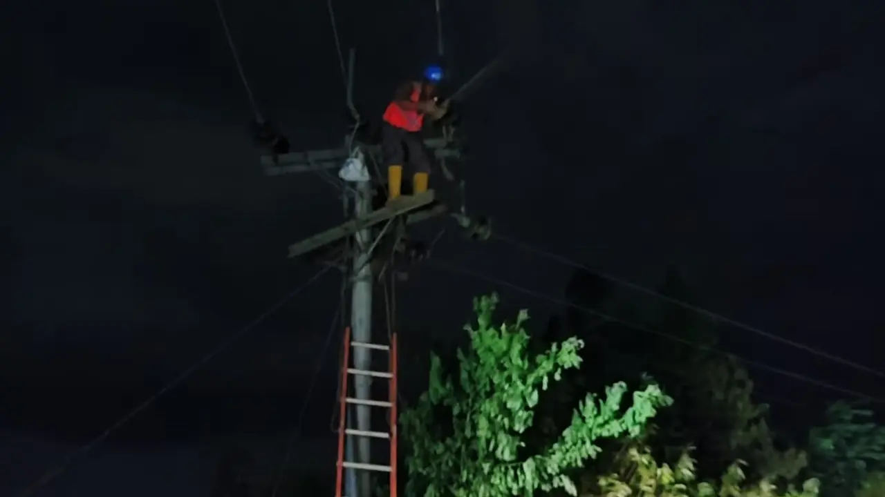 Petugas PLN Jatim melakukan perbaikan jaringan listrik akibat Gempa Bantul. (Istimewa)