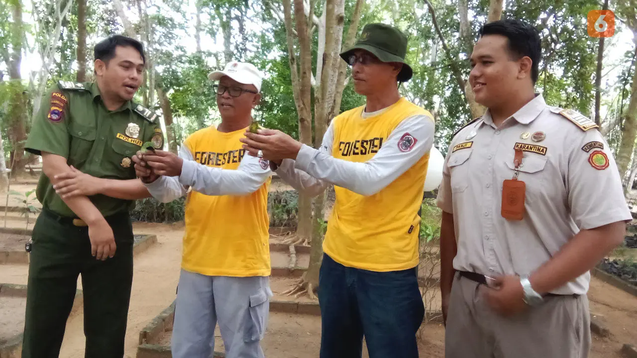 Pelepasliaran Satwa Dilindungi