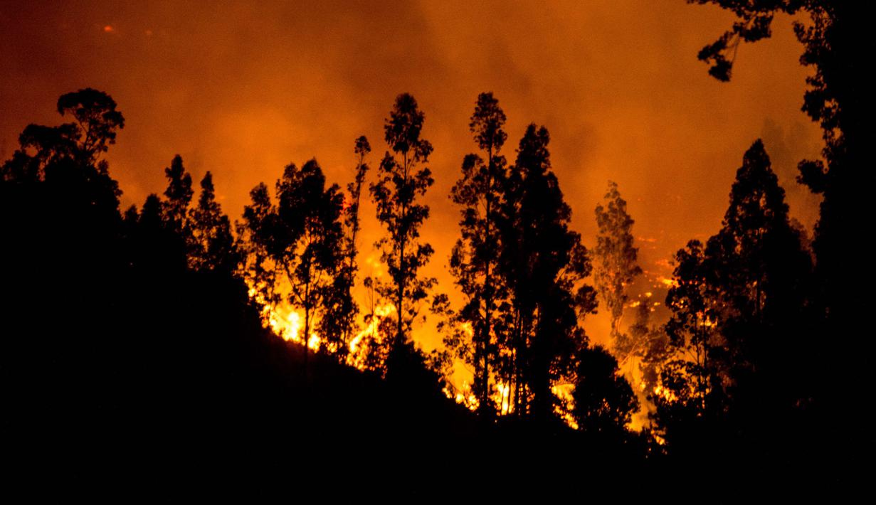 Kobaran api melahap hutan di wilayah Santiago, Chile (20/1). Menerut Kantor Darurat Nasional setidaknya 4.000 orang telah dievakuasi dari kebakaran dahsyat tersebut. (AFP Photo/Martin Bernetti)