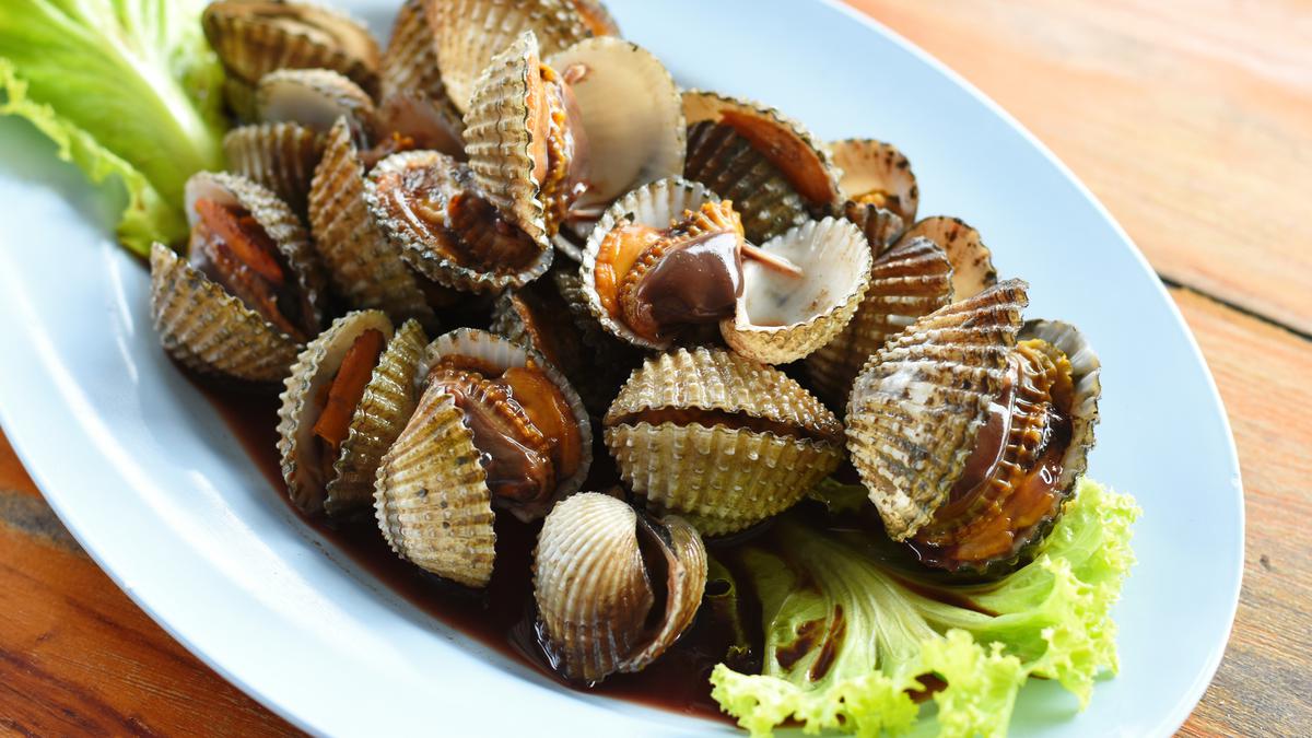 5 Olahan Makanan dari Kerang yang Super Sedap!
