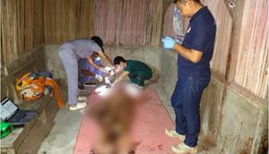 Menantu bunuh mertua di NTT. (liputan6.com/Ola Keda)