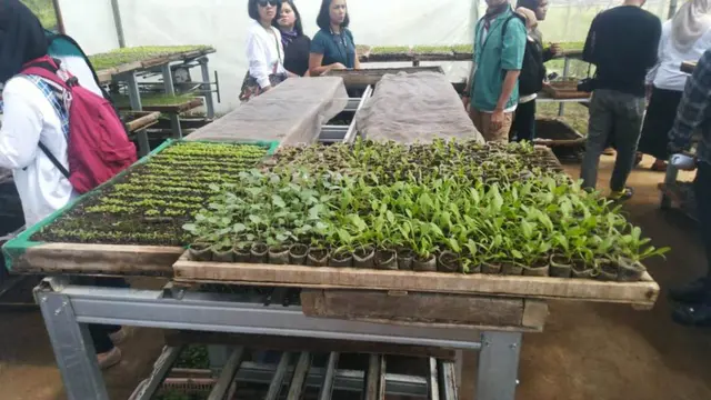 The Learning Farm