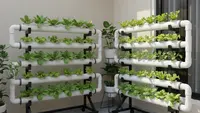 8 Desain Kebun Sayur Teras Pakai Pipa PVC, Praktis untuk Rumah Minimalis