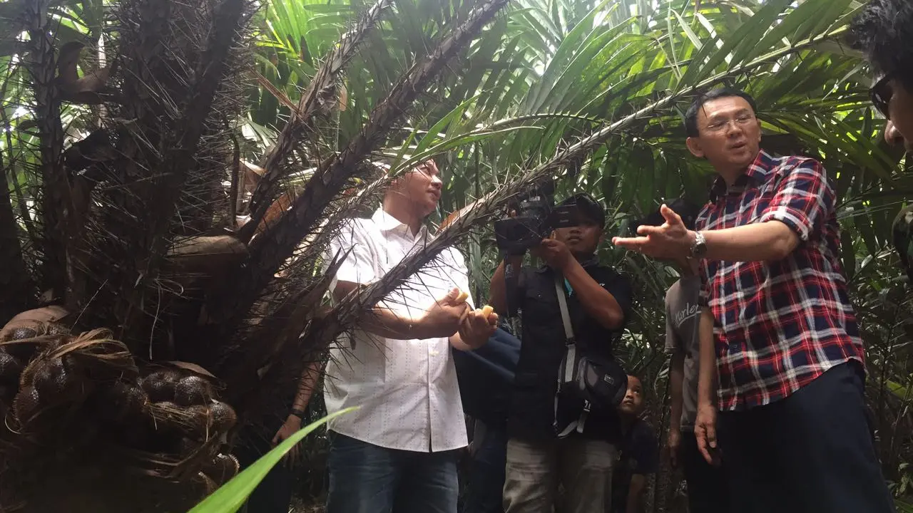 Ahok di Kebun Salak