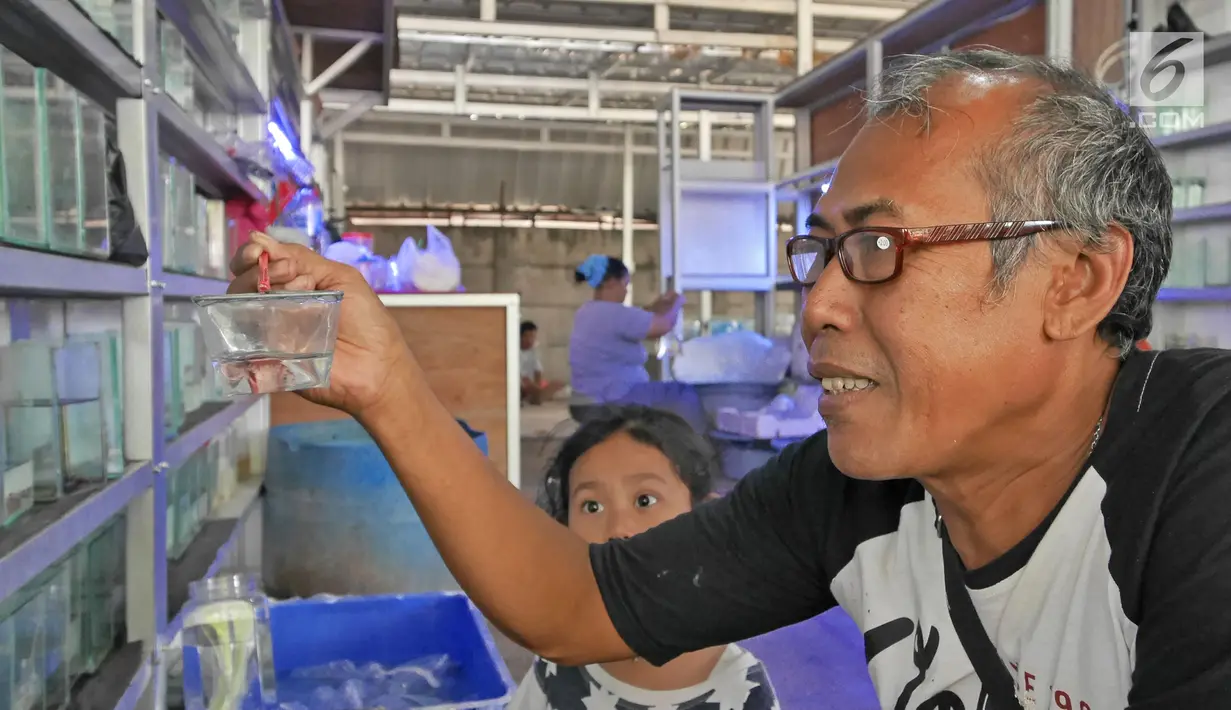 Pedagang ikan hias memindahkan ikan di Bursa Pasar Ikan dan Hewan Jatinegara, Jakarta, Jumat (21/6/2019). Sejak Senin (17/6) pedagang ikan hias di Pasar Hewan Jatinegara mulai direlokasi ke Lapangan Jenderal Urip Sumihardjo guna mengembalikan fungsi trotoar. (Liputan6.com/Herman Zakharia)