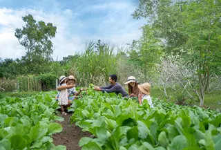 Lebih dari sekadar operasional internal, AYANA Bali juga melibatkan tamu dan komunitas dalam praktik berkelanjutan. Melalui AYANA Farm, area organik seluas dua hektare yang menanam lebih dari 130 varietas tanaman, tamu diajak mengenal pertanian organik dan prinsip sirkular secara langsung. [Dok/AYANA BALI].