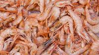 Ilustrasi Udang. (Dok. Thanks for your Like/donations welcome/Pixabay)