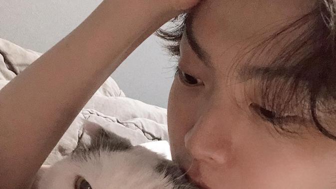 Anju, kucing peliharaan Ahn Jae Hyun (Instagram/ aagbanjh)