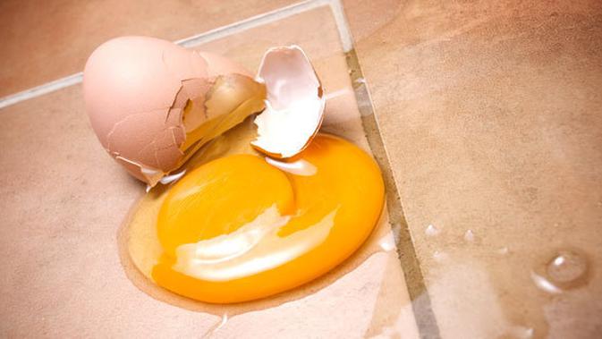 Racun Nikarbazin Sebabkan Warna  Kuning Telur  Bebek  Hilang 