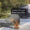 Mobil Avanza terbakar di Tol Jagorawi KM 12 pada Selasa (12/5/2026). (Istimewa)