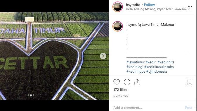 Crop Circle Di Sawah Petani Kediri Tempat Wisata Baru