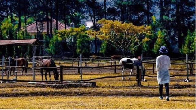 Menikmati Wisata Ala Koboi Di De Ranch Lembang Lifestyle