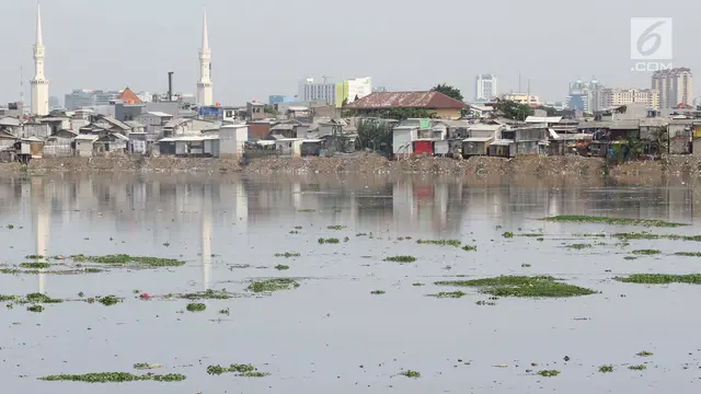 Kurang Perawatan, Eceng Gondok Kembali Tumbuh di Waduk Plui