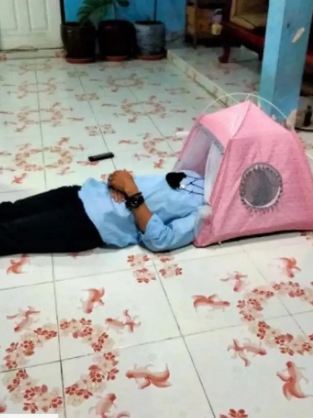 Kisah Pria Beli Tenda Super Murah, Barang yang Datang Malah Zonk