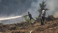 Anggota tim pemadam kebakaran berusaha memadamkan kobaran api di hutan di bagian utara provinsi Latakia Suriah pada 29 Juli 2023, saat kebakaran hutan yang terjadi di tengah suhu yang melonjak beberapa hari lalu terus melanda daerah tersebut. (LOUAI BESHARA / AFP)