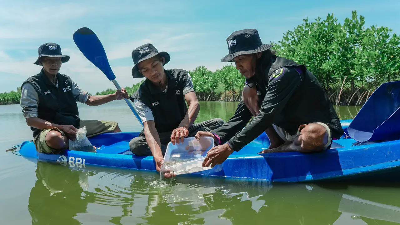 BRI Tanam 500 Mangrove di Muara Gembong untuk Jaga Ekosistem Pesisir