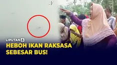 ikan raksasa