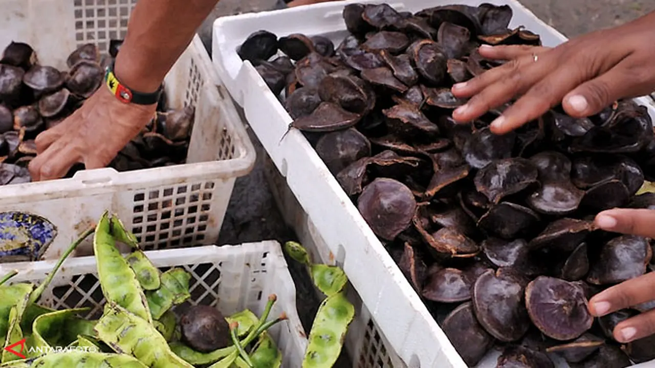 jengkol-131108b.jpg