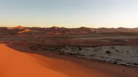 Terlihat Imut Namun Paling Mematikan, Inilah Kucing Hitam Afrika